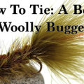 Tying Tuesday: Woolly Buggers, Blue-Wings, and Damsels